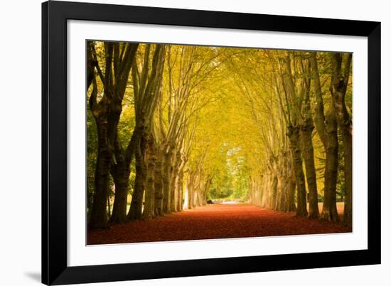 The Golden Arch-Philippe Sainte-Laudy-Framed Photographic Print