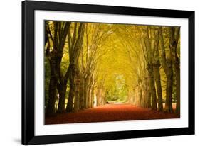 The Golden Arch-Philippe Sainte-Laudy-Framed Photographic Print