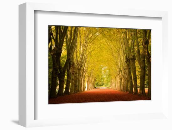 The Golden Arch-Philippe Sainte-Laudy-Framed Photographic Print