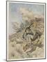 The Golden Bird 1909-Arthur Rackham-Mounted Art Print