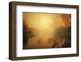 The Golden Circle-Philippe Sainte-Laudy-Framed Photographic Print