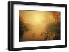 The Golden Circle-Philippe Sainte-Laudy-Framed Photographic Print