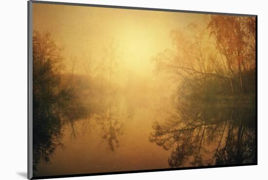 The Golden Circle-Philippe Sainte-Laudy-Mounted Photographic Print