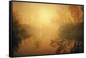 The Golden Circle-Philippe Sainte-Laudy-Framed Stretched Canvas
