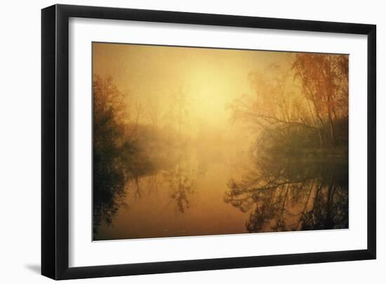 The Golden Circle-Philippe Sainte-Laudy-Framed Photographic Print