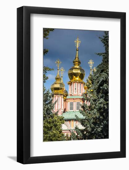 The Golden Domes of the Trinity Lavra of St. Sergius-Michael Runkel-Framed Photographic Print