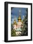 The Golden Domes of the Trinity Lavra of St. Sergius-Michael Runkel-Framed Photographic Print