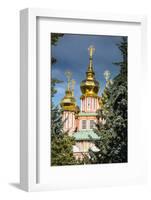 The Golden Domes of the Trinity Lavra of St. Sergius-Michael Runkel-Framed Photographic Print