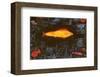 The Golden Fish, c.1925-Paul Klee-Framed Art Print