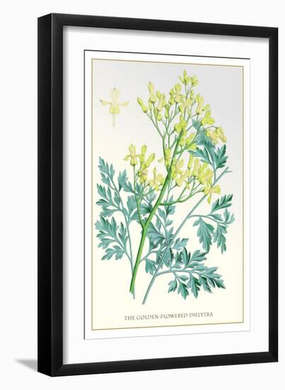 The Golden-Flowered Dielytra-null-Framed Art Print