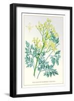 The Golden-Flowered Dielytra-null-Framed Art Print