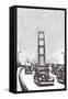 The Golden Gate Bridge, San Francisco, California-null-Framed Stretched Canvas