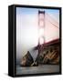 The Golden Gate Bridge Shrouded in Mist at Sunrise-Jody Miller-Framed Stretched Canvas