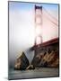 The Golden Gate Bridge Shrouded in Mist at Sunrise-Jody Miller-Mounted Photographic Print