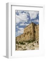 The Golden Gate on the Eastern Wall of the Temple Mount-Yadid Levy-Framed Photographic Print