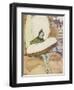 The Golden Goose Book-Leonard Leslie Brooke-Framed Giclee Print