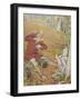 The Golden Goose Book-Leonard Leslie Brooke-Framed Giclee Print