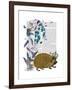 The Golden Hedgehog-Fab Funky-Framed Art Print