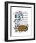 The Golden Hedgehog-Fab Funky-Framed Art Print