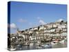 The Golden Hind and Other Boats in the Harbour, Brixham, Devon, England, United Kingdom-Raj Kamal-Stretched Canvas