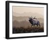 The Golden Hour-Chuck Black-Framed Giclee Print