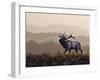 The Golden Hour-Chuck Black-Framed Giclee Print