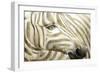 The Golden Hour-Sasha-Framed Giclee Print