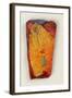 The Golden Mountain, 2006-Jane Deakin-Framed Giclee Print