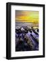 The golden setting sun reflects a gold glow on the beach at Pererenan Beach, Bali, Indonesia-Greg Johnston-Framed Photographic Print