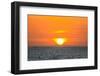 The golden setting sun reflects a gold glow on the beach at Pererenan Beach, Bali, Indonesia-Greg Johnston-Framed Photographic Print