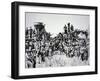 The Golden Spike Ceremony, 10th May 1869-Charles Roscoe Savage-Framed Photographic Print