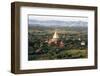 The Golden Stupa of Dhammayazika Pagoda Amongst Some Other Terracotta Buddhist Temples in Bagan-Annie Owen-Framed Photographic Print