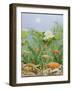 The Golden Touch, 2011-Pat Scott-Framed Premium Giclee Print