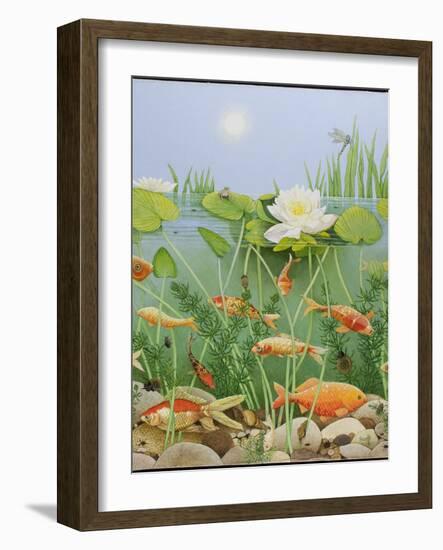 The Golden Touch, 2011-Pat Scott-Framed Giclee Print