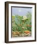 The Golden Touch, 2011-Pat Scott-Framed Giclee Print