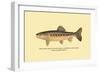 The Golden Trout of Soda Creek-H.h. Leonard-Framed Art Print