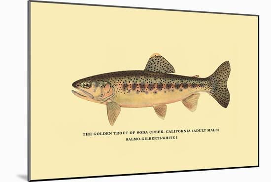 The Golden Trout of Soda Creek-H.h. Leonard-Mounted Art Print