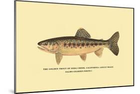 The Golden Trout of Soda Creek-H.h. Leonard-Mounted Art Print