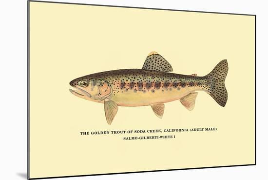 The Golden Trout of Soda Creek-H.h. Leonard-Mounted Art Print