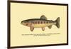 The Golden Trout of Volcano Creek-H.h. Leonard-Framed Art Print