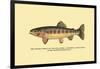 The Golden Trout of Volcano Creek-H.h. Leonard-Framed Art Print