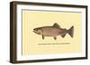 The Golden Trout-H.h. Leonard-Framed Art Print