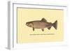 The Golden Trout-H.h. Leonard-Framed Art Print