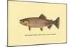 The Golden Trout-H.h. Leonard-Mounted Art Print