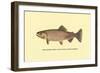 The Golden Trout-H.h. Leonard-Framed Art Print