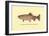 The Golden Trout-H.h. Leonard-Framed Art Print