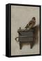 The Goldfinch, 1654, by Carel Fabritius, 1622-1654, Dutch painting,-Carel Fabritius-Framed Stretched Canvas