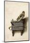 The Goldfinch, 1654-Carel Fabritius-Mounted Giclee Print