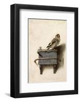 The Goldfinch, 1654-Carel Fabritius-Framed Art Print