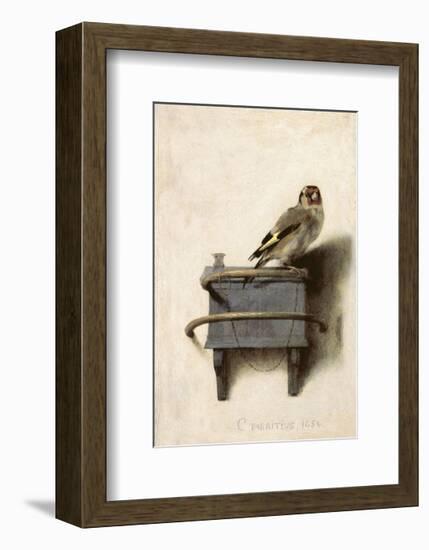 The Goldfinch, 1654-Carel Fabritius-Framed Art Print